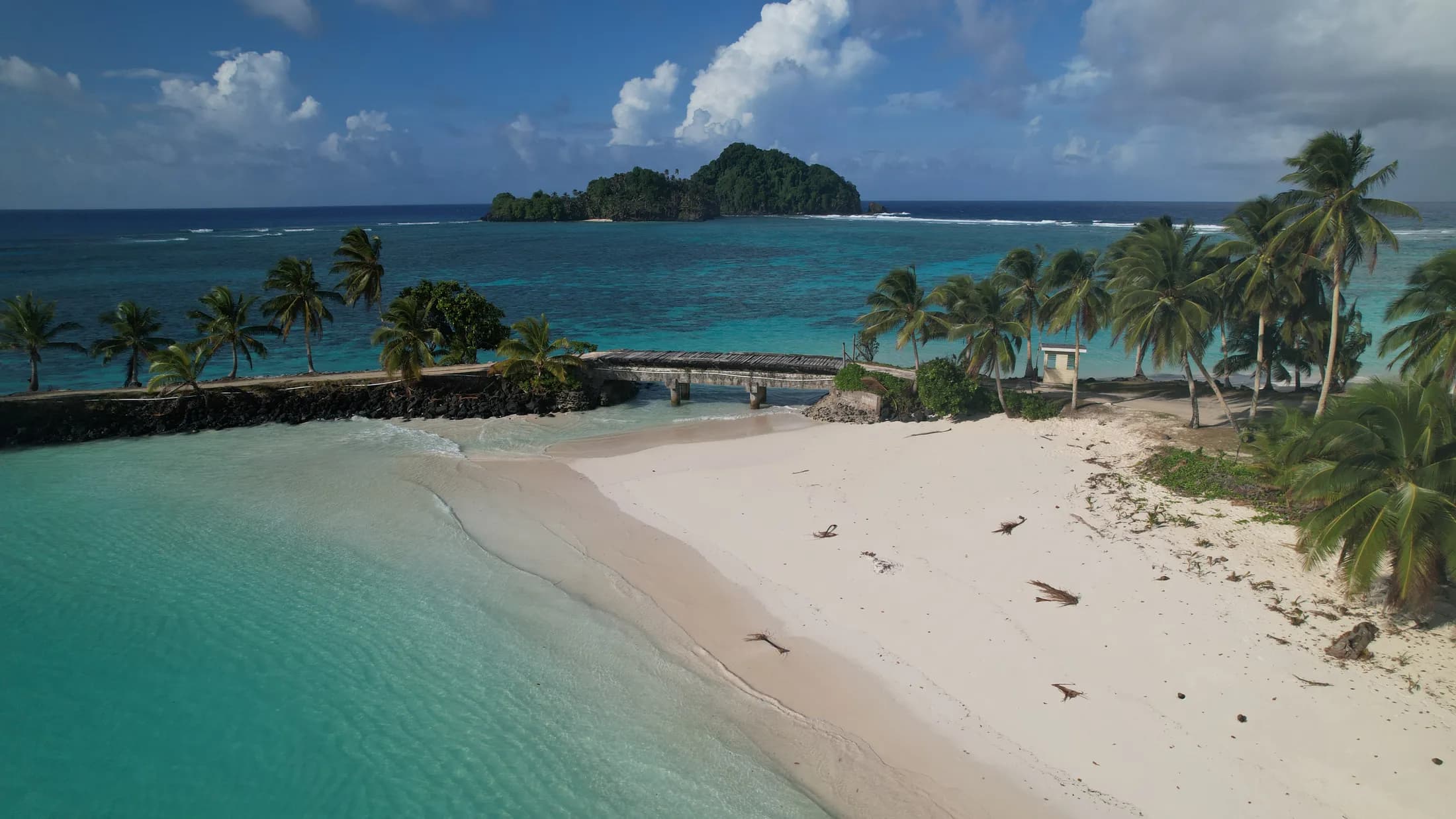 Aerial view of a jetty, palms and beach by Croome Photography
